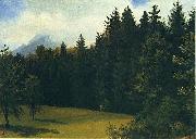 Albert Bierstadt Greater San Francisco Area (Mountain Glade and Mountain Resort) Sweden oil painting artist